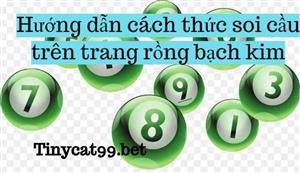 Hướng dẫn cách thức soi cầu trên trang rồng bạch kim