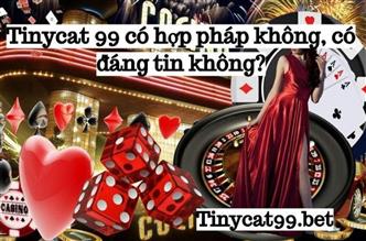 Tinycat99 Có Hợp Pháp Không, Có Đáng Tin Không?